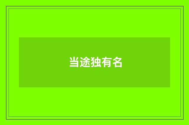 当途独有名