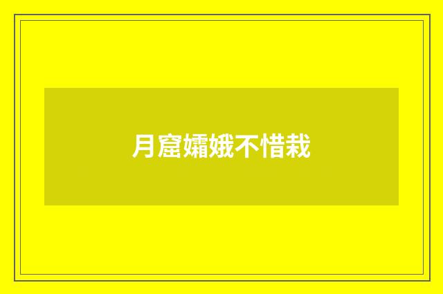 月窟孀娥不惜栽
