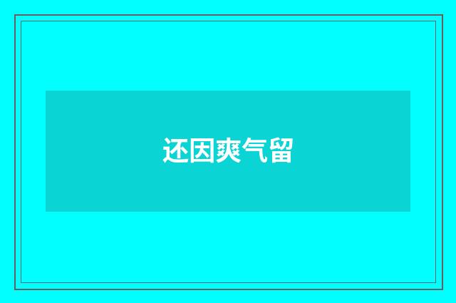 还因爽气留