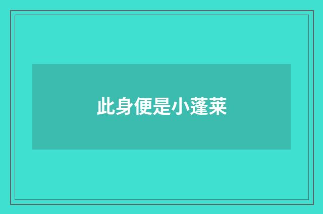 此身便是小蓬莱