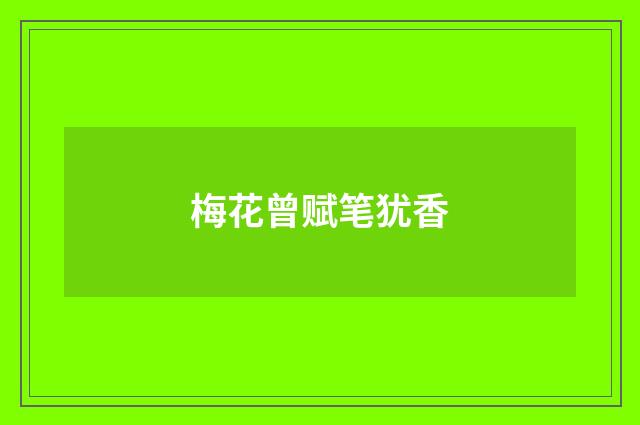 梅花曾赋笔犹香