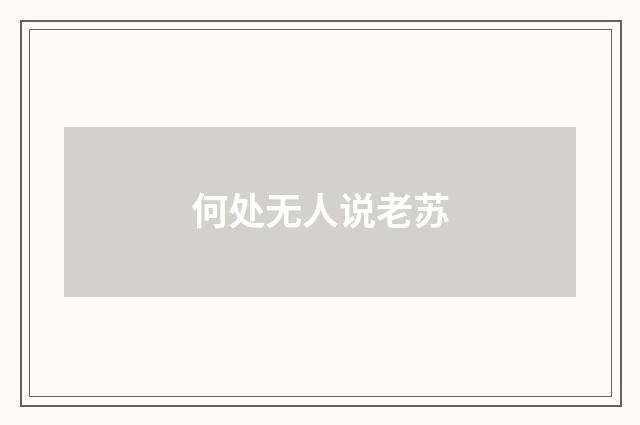何处无人说老苏