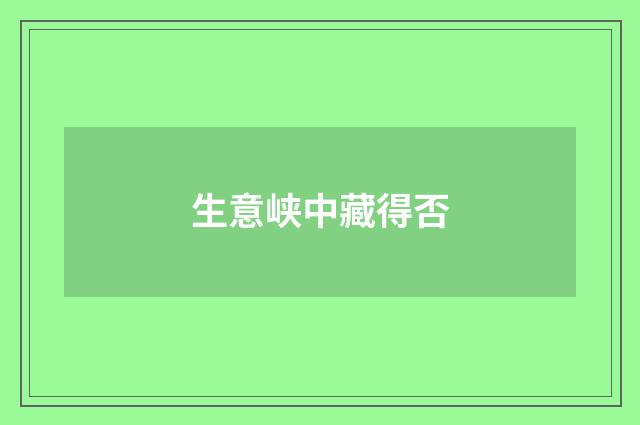 生意峡中藏得否