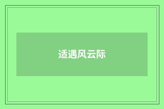 适遇风云际