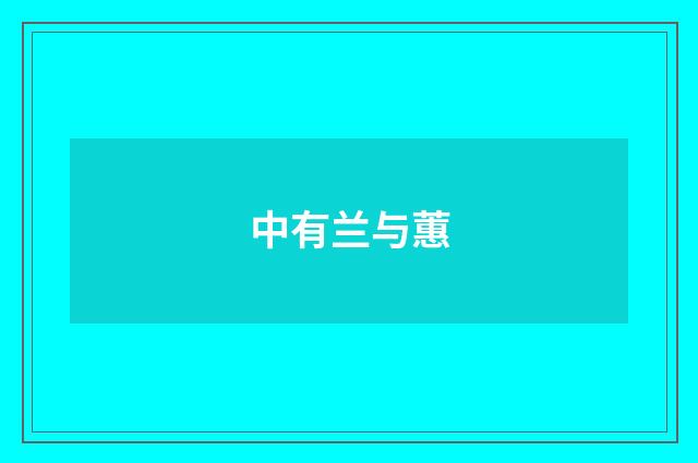 中有兰与蕙
