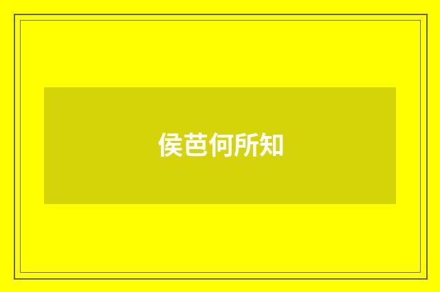 侯芭何所知