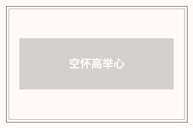 空怀高举心