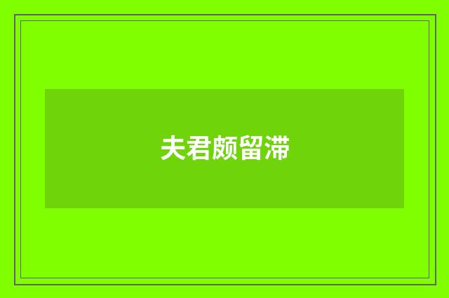 夫君颇留滞