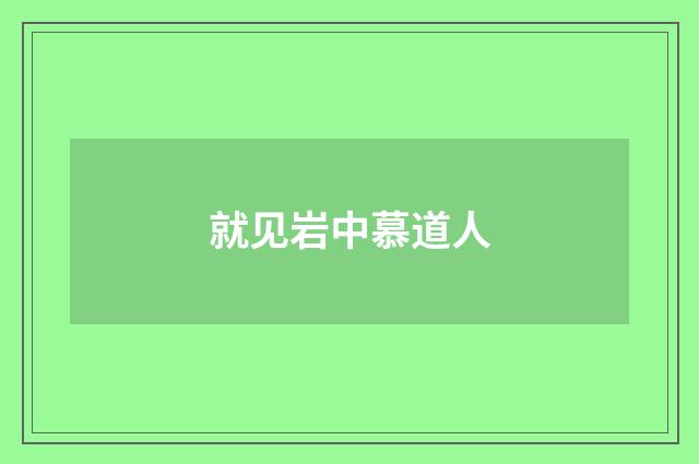 就见岩中慕道人