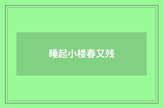 睡起小楼春又残
