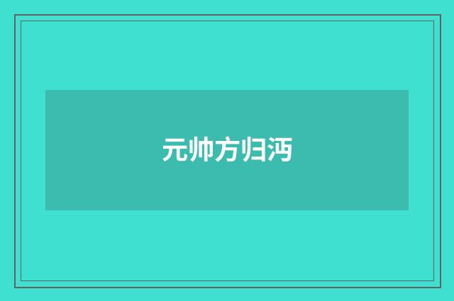 元帅方归沔