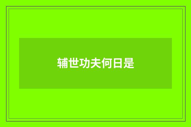 辅世功夫何日是