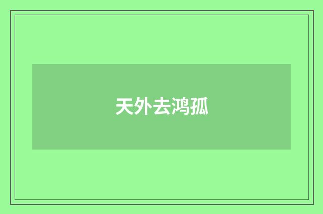 天外去鸿孤
