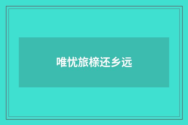 唯忧旅榇还乡远