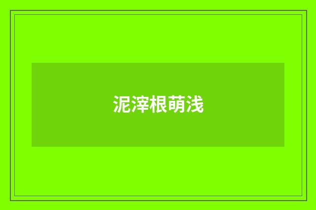 泥滓根萌浅