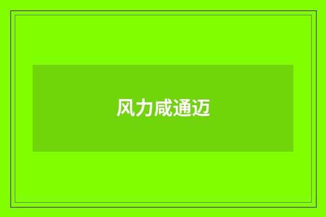 风力咸通迈