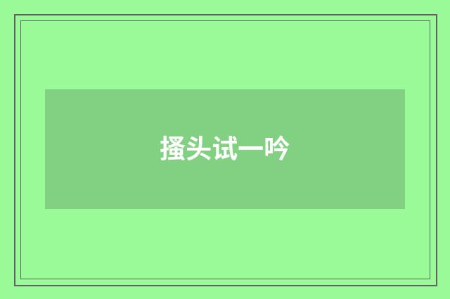 搔头试一吟