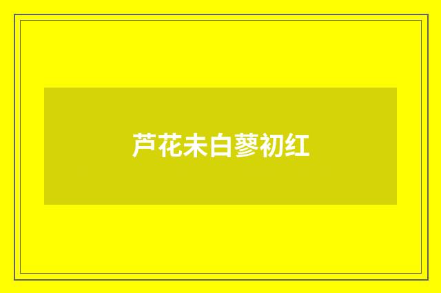 芦花未白蓼初红