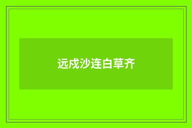 远戍沙连白草齐
