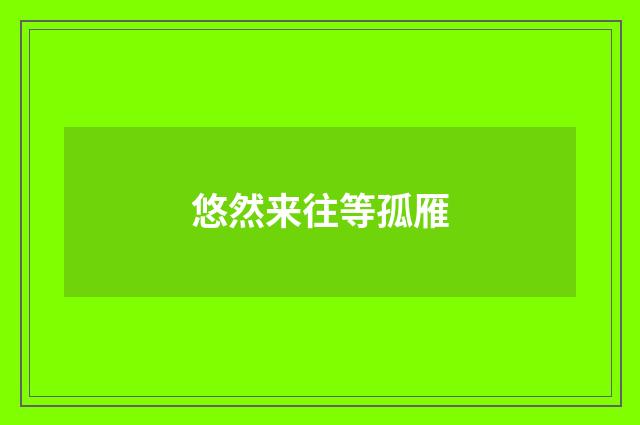 悠然来往等孤雁