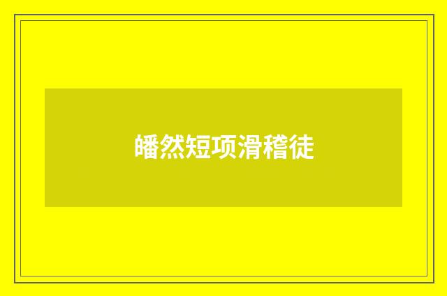 皤然短项滑稽徒