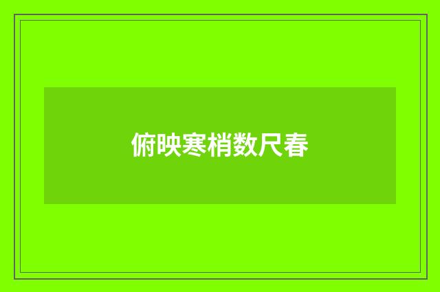 俯映寒梢数尺春
