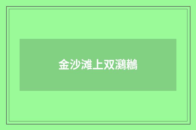 金沙滩上双鸂鶒