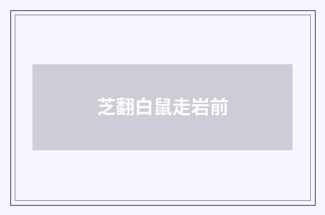 芝翻白鼠走岩前