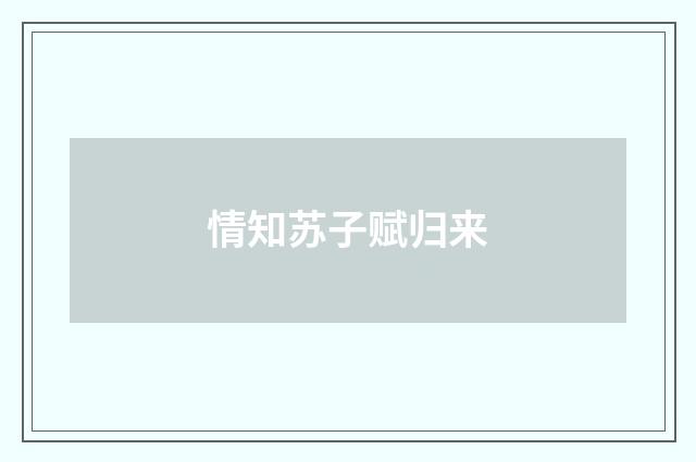 情知苏子赋归来