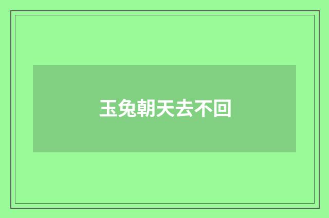 玉兔朝天去不回