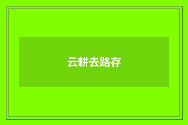 云軿去路存