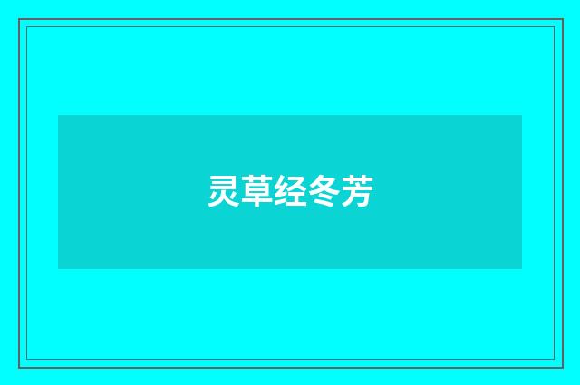 灵草经冬芳