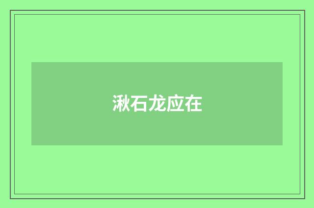 湫石龙应在
