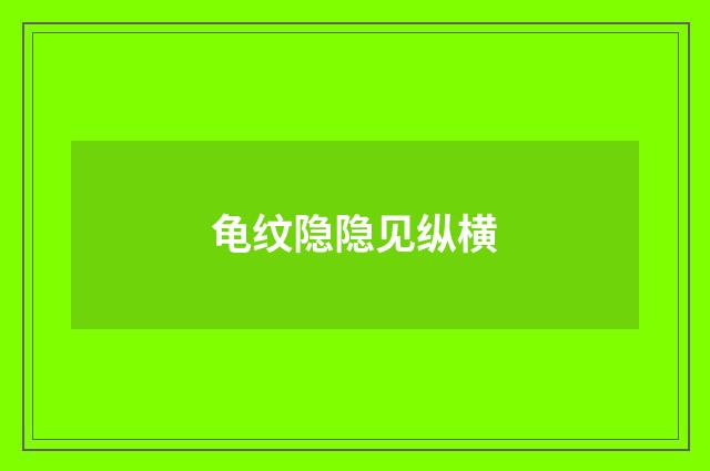 龟纹隐隐见纵横