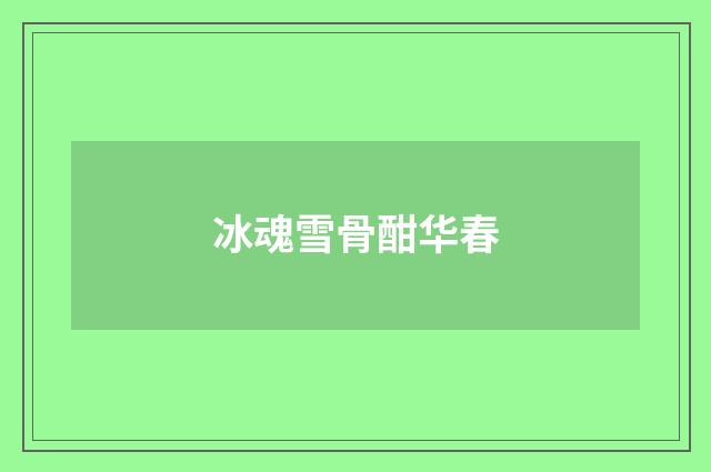 冰魂雪骨酣华春