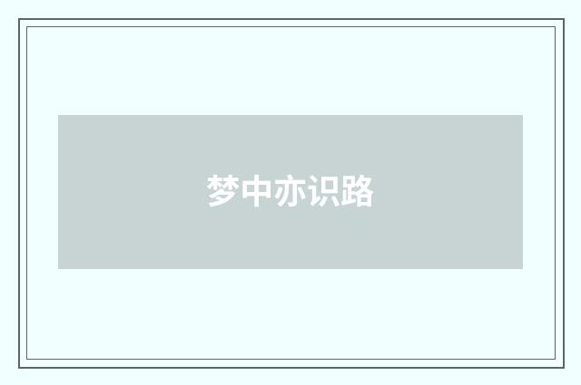 梦中亦识路