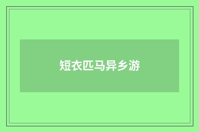 短衣匹马异乡游