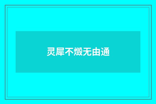 灵犀不燬无由通