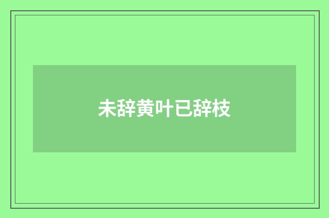 未辞黄叶已辞枝