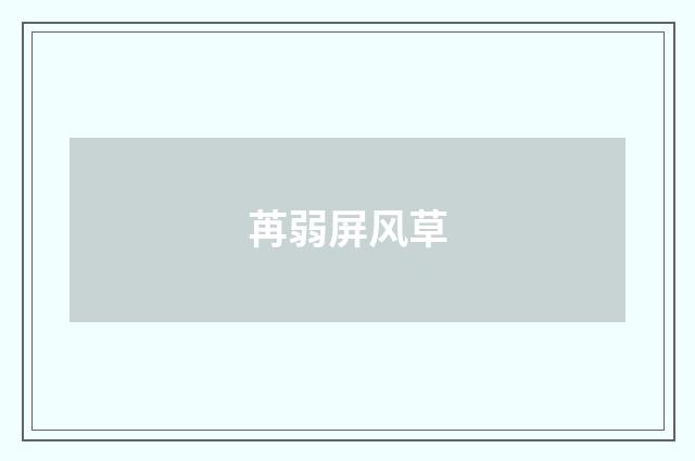 苒弱屏风草
