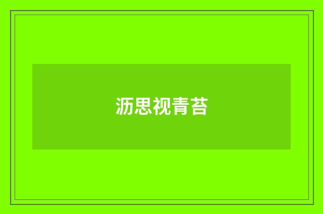 沥思视青苔