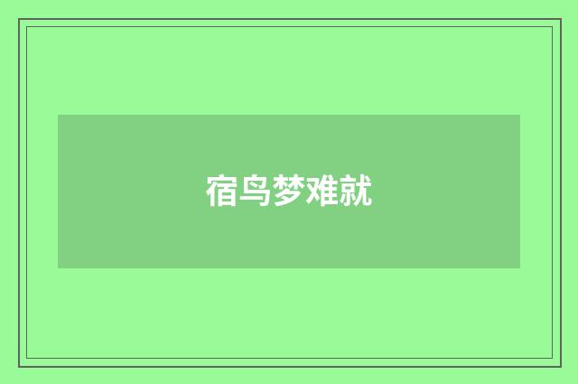 宿鸟梦难就