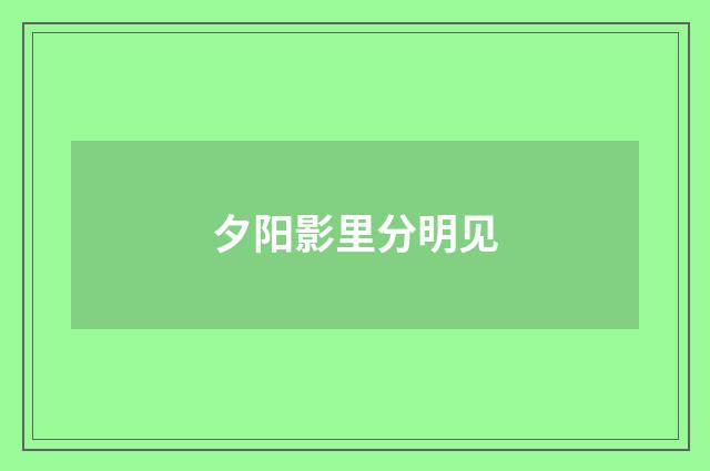夕阳影里分明见