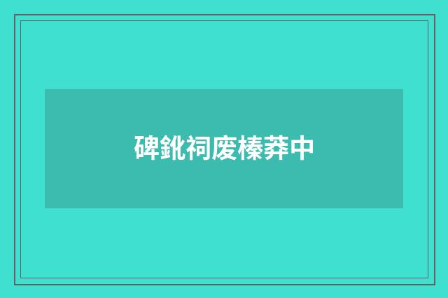 碑鈋祠废榛莽中