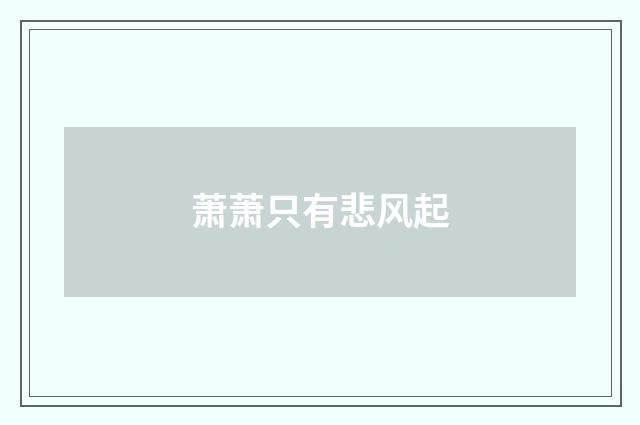 萧萧只有悲风起