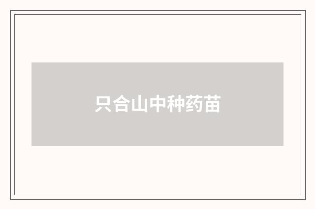 只合山中种药苗