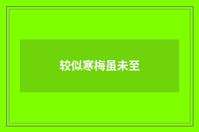 较似寒梅虽未至