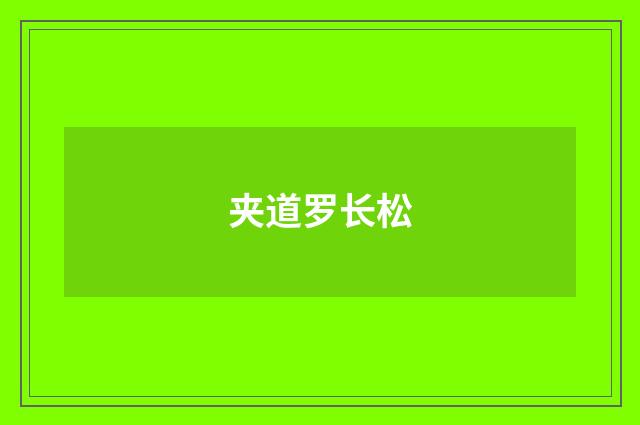 夹道罗长松