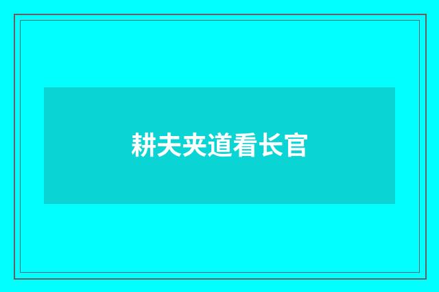 耕夫夹道看长官
