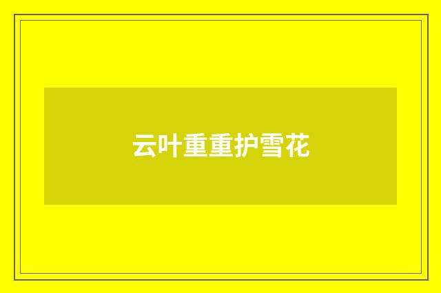 云叶重重护雪花
